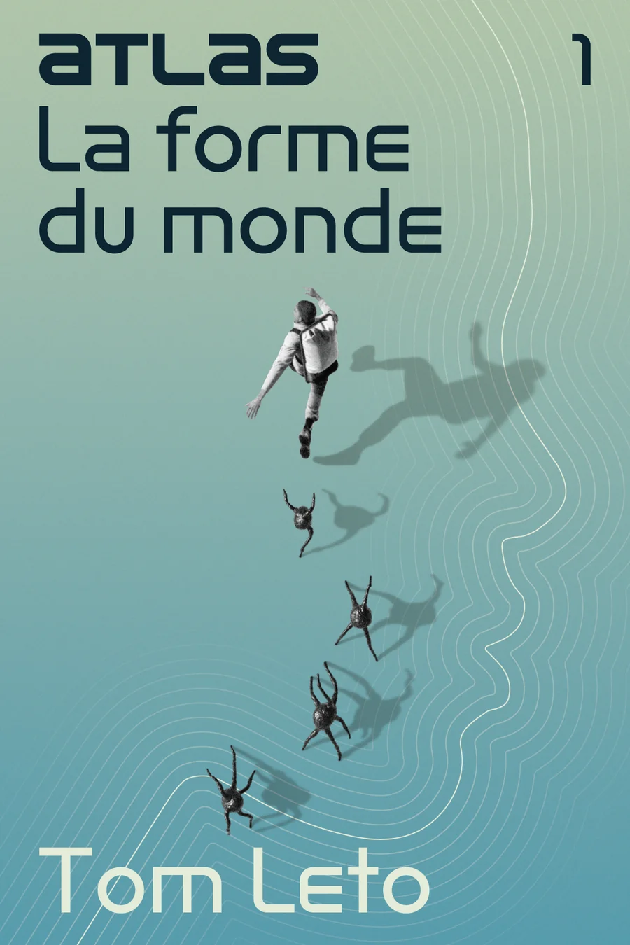 Couverture de La forme du monde